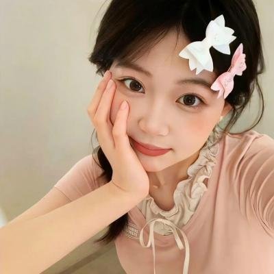 哈利波特:凤凰会的密令 封面